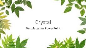  Presentation with yellow green - Colorful presentation theme enhanced with green-and-yellow-leaves backdrop and a white colored foreground