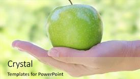  Presentation with green apple - PPT layouts enhanced with green apple in a woman's hand background and a blonde colored foreground
