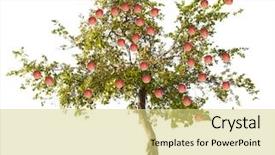  Presentation with green apple - Amazing presentation theme having green apple-tree with small backdrop and a yellow colored foreground