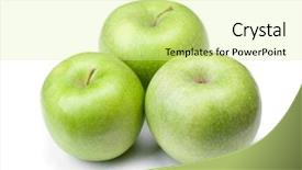  Presentation with green apples - Cool new PPT theme with green apples isolated on white backdrop and a  colored foreground