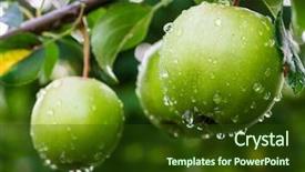  Presentation with green apples - Presentation design enhanced with green apples on a branch in a garden background and a tawny brown colored foreground