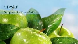  Presentation with green apples - Beautiful theme featuring close up sparkling water - green apples with leaves backdrop and a light blue colored foreground