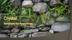  Presentation with grungy white concrete wall - Amazing slides having green architecture - grunge wall background with foliage backdrop and a tawny brown colored foreground