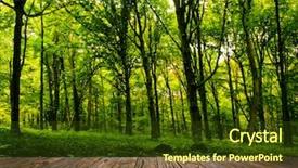  Presentation with timber wood wood texture wood - Beautiful slides featuring green art - wood textured backgrounds backdrop and a tawny brown colored foreground