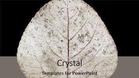  Presentation with green leaf - Beautiful presentation featuring green aspen leaf hi res backdrop and a  colored foreground