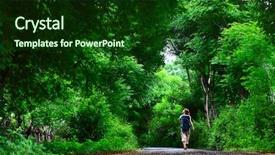  Presentation with forest road green - Presentation design enhanced with green asphalt road in forest background and a forest green colored foreground