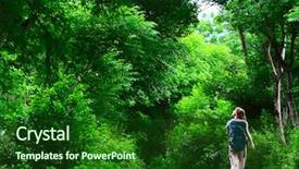  Presentation with forest road green - Audience pleasing PPT theme consisting of green asphalt road in forest backdrop and a forest green colored foreground