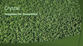  Presentation with pretend - PPT theme having green-astroturf-green-plastic-grass background and a tawny brown colored foreground