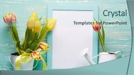  Presentation with tulips - Theme featuring green background concept of spring background and a sky blue colored foreground
