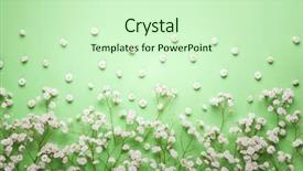  Presentation with pastel - Audience pleasing PPT theme consisting of green background with copy spase backdrop and a soft green colored foreground