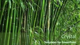  Presentation with bamboo - Colorful theme enhanced with green bamboo grove backdrop and a tawny brown colored foreground