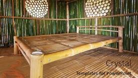  Presentation with hut - Cool new PPT theme with green-bamboo-hut-in-tropical backdrop and a coral colored foreground