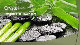  Presentation with water bamboo - PPT theme featuring green bamboo in the water background and a tawny brown colored foreground