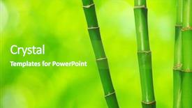  Presentation with bamboo - Beautiful PPT theme featuring green bamboo isolated backdrop and a shamrock green colored foreground
