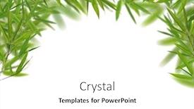  Presentation with bamboo - Amazing PPT theme having green-bamboo-leaves-half-frame backdrop and a  colored foreground