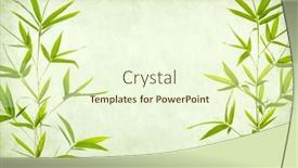  Presentation with bamboo paper - PPT theme consisting of green-bamboo-on-old-paper background and a cream colored foreground