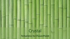 Presentation with green architecture - Theme featuring green bamboo wall texture background and a seafoam green colored foreground