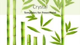  Presentation with green leaves - Cool new theme with green-bamboo-with-leaves-isolated backdrop and a blonde colored foreground