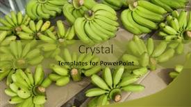  Presentation with thailand - Audience pleasing PPT layouts consisting of green bananas for sale backdrop and a gold colored foreground
