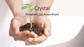  Presentation with sprout - Slide set with green banking - hand holding sprout background and a lemonade colored foreground