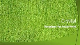  Presentation with turkish - Colorful PPT theme enhanced with green-bath-turkish-towel-fabric backdrop and a shamrock green colored foreground