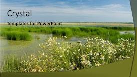  Presentation with green - Cool new presentation theme with green bayou backdrop and a light blue colored foreground