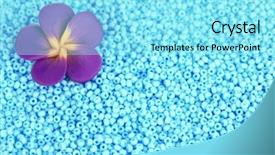  Presentation with lime green and white flower - PPT theme enhanced with green beads with decorative handmade background and a arctic colored foreground