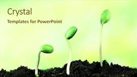  Presentation with soil exploration - Beautiful theme featuring green bean seedlings in soil backdrop and a white colored foreground