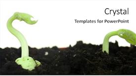  Presentation with soil - Beautiful PPT theme featuring green bean seedlings in soil backdrop and a white colored foreground