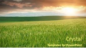  Presentation with beautiful green - Amazing slides having green-beautiful-wheat-field-against backdrop and a tawny brown colored foreground