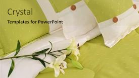  Presentation with hospitality - Presentation enhanced with green-bed-with-flower-hospitality and a  colored foreground