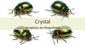  Presentation with white green - PPT theme featuring green beetle isolated on white background and a soft green colored foreground