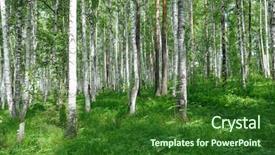  Presentation with summer time - Presentation design consisting of green birch grove forest background and a forest green colored foreground