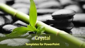  Presentation with spirituality zen meditation stone - Amazing PPT theme having green black - zen basalt stones and bamboo backdrop and a tawny brown colored foreground