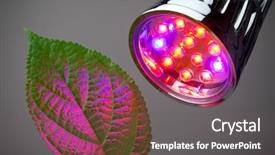  Presentation with led light - PPT theme with plant research - led grow light background and a gray colored foreground