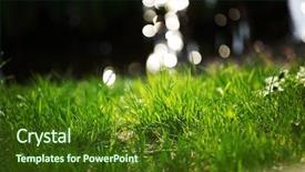  Presentation with green blue waves - Slide deck having green blue waves - grass on water background background and a tawny brown colored foreground