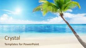  Presentation with beach palm tree wedding - Theme consisting of green blue waves - palm and beach background and a cream colored foreground