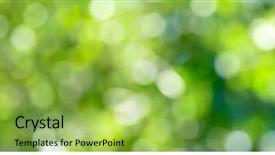  Presentation with sun rays on blue sky - PPT layouts with green blurred background and sun background and a yellow colored foreground