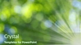  Presentation with sunlight - Presentation featuring green blurred background and sunlight background and a tawny brown colored foreground