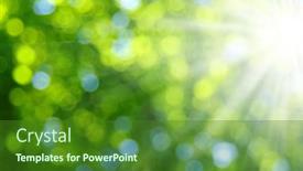  Presentation with sunlight - 