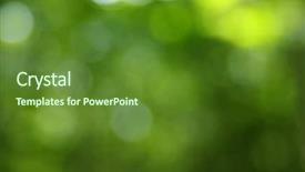  Presentation with blurred bokeh - Presentation with green blurred background the bokeh background and a tawny brown colored foreground