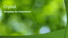  Presentation with blurred bokeh - Audience pleasing slide deck consisting of green blurred background the bokeh backdrop and a tawny brown colored foreground