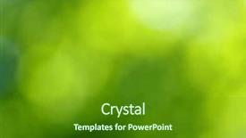  Presentation with green abstract - Presentation design having green bokeh abstract light background background and a tawny brown colored foreground