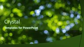  Presentation with light green - 