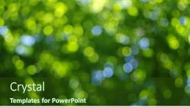  Presentation with light green - 