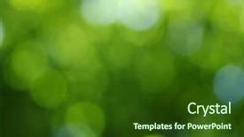  Presentation with abstract light - PPT theme having green bokeh abstract light background background and a forest green colored foreground