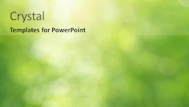  Presentation with nature design - Presentation theme having green-bokeh-nature-background-elemnt background and a blonde colored foreground