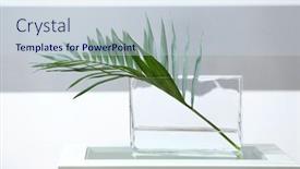  Presentation with light green - Audience pleasing PPT layouts consisting of green-branch-in-vase backdrop and a lemonade colored foreground