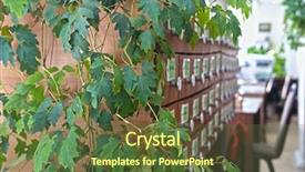  Presentation with ivy - Slide deck enhanced with green branches of an ivy background and a tawny brown colored foreground