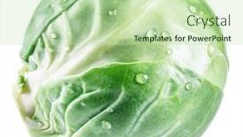  Presentation with brussel - Presentation consisting of green brussel sprout with water drops isolated on white background background and a mint green colored foreground